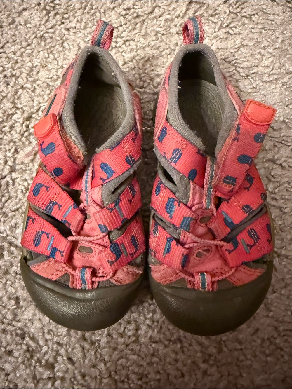 KEEN Newport H2 closed-toe water sandals